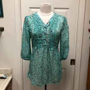 Emmelee Sheer Pintuck V-Neck Blouse Sz Small